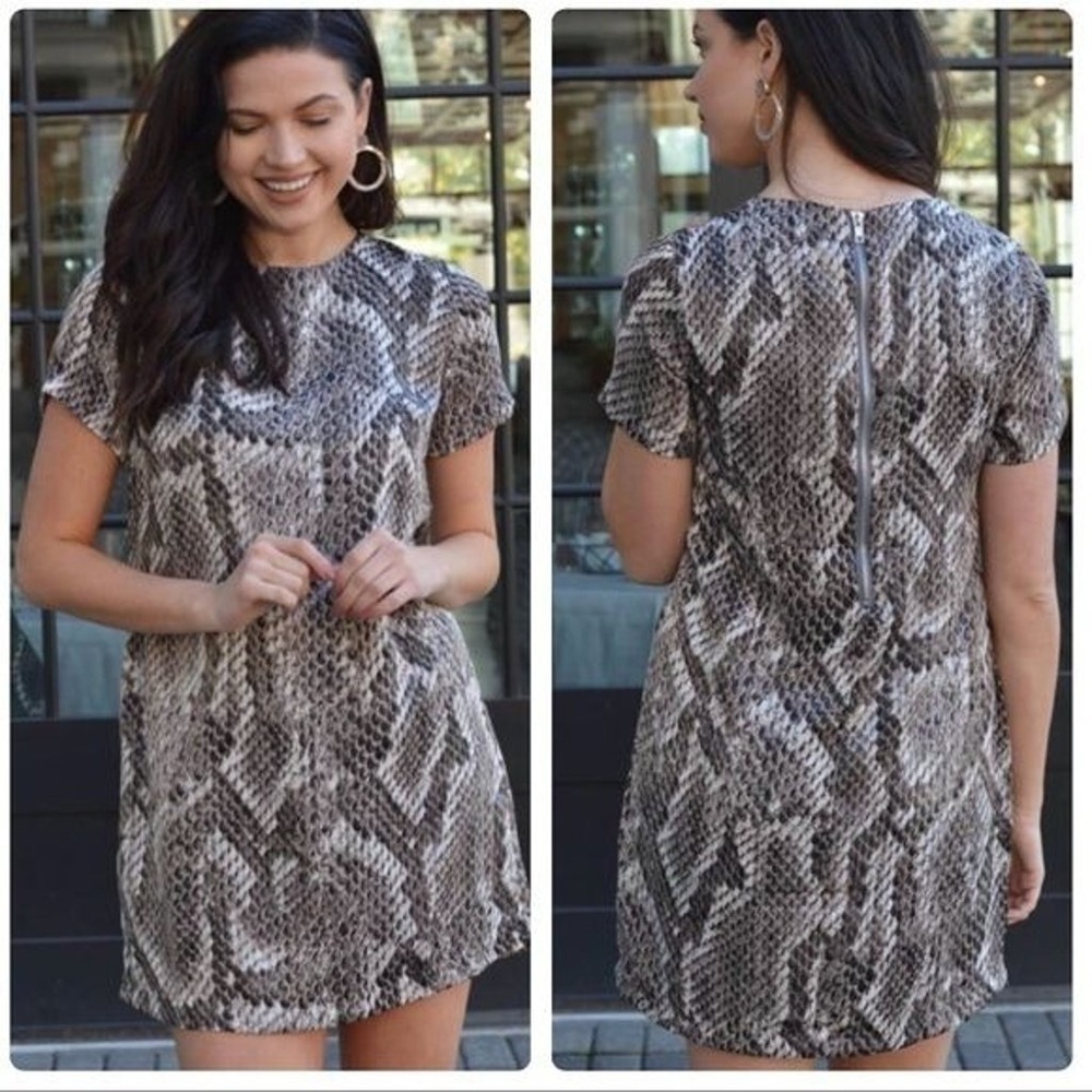 Olivaceous Snake Print Shift‎ Dress Size Small